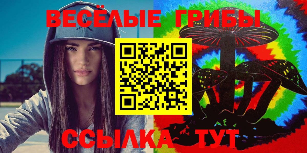 Галлюциногенные грибы GOLDEN TEACHER  Псилоцибиновые грибы мицелий  Кимры  Вход с VPN 