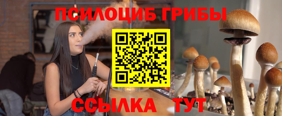 Галлюциногенные грибы Cubensis Кимры